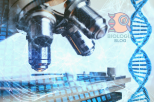 Biologia.live